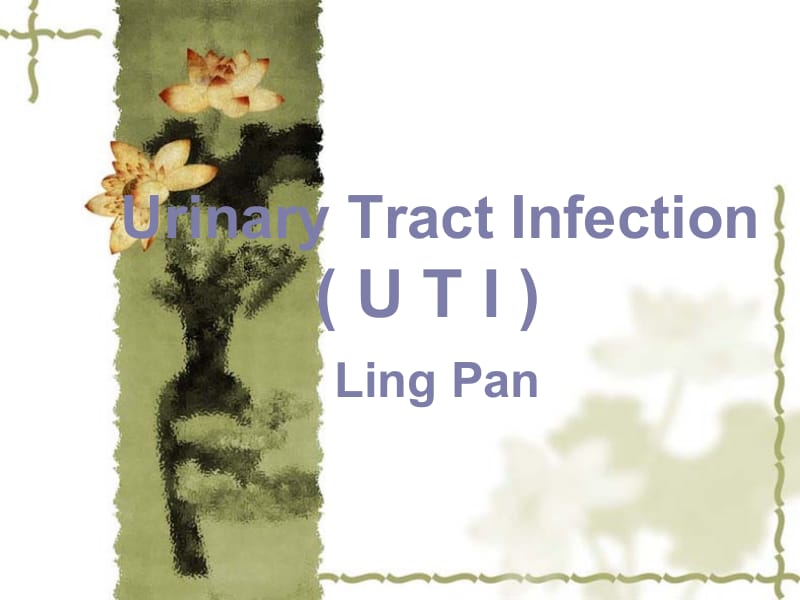 肾内科课件 uti.ppt_第1页