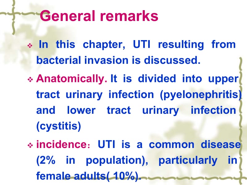 肾内科课件 uti.ppt_第2页