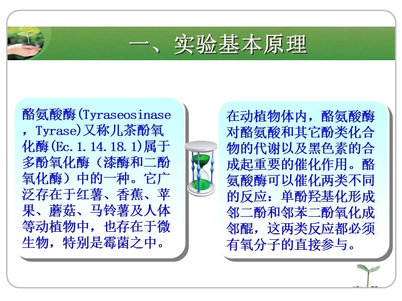 酪氨酸酶抑制及激活作用动力学的分析.ppt_第2页