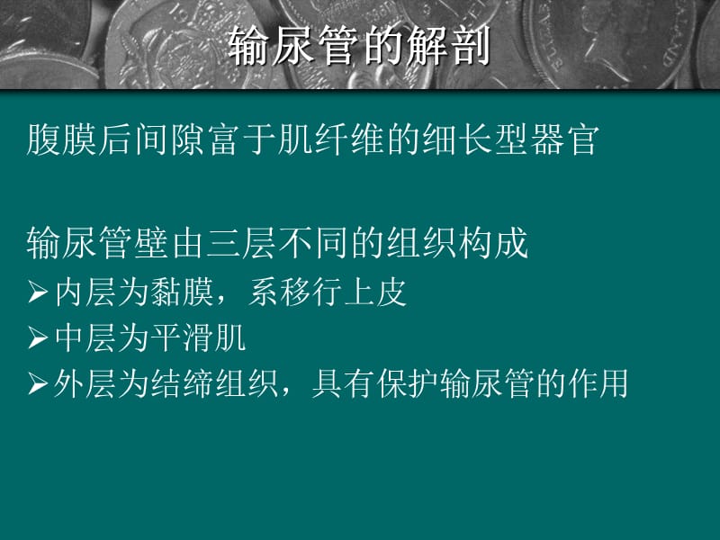 螺旋型吻合在输尿管狭窄中的应用.ppt_第2页