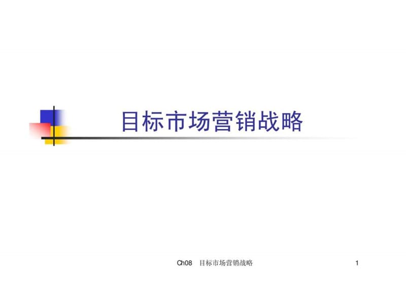 目标市场营销战略.ppt_第1页