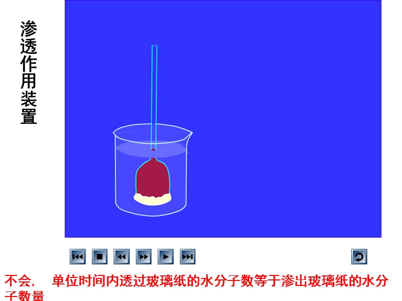 跨膜运输(1).ppt_第2页