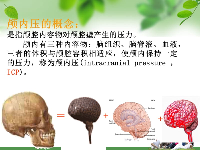 颅内高压患者的护理.ppt_第3页