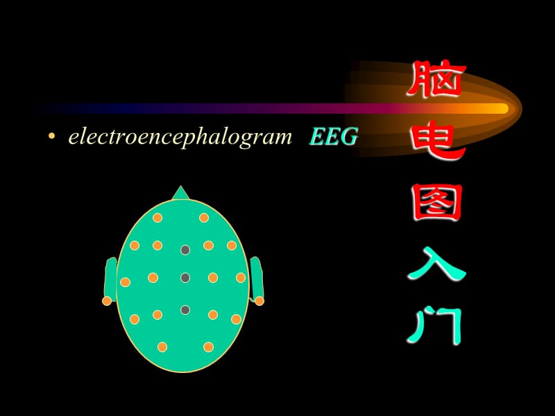 脑电图入门.ppt_第2页