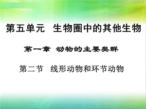 人教版生物八年级上册课件5.1.2《线形动物和环节动物》精品课件（共21张PPT）.ppt