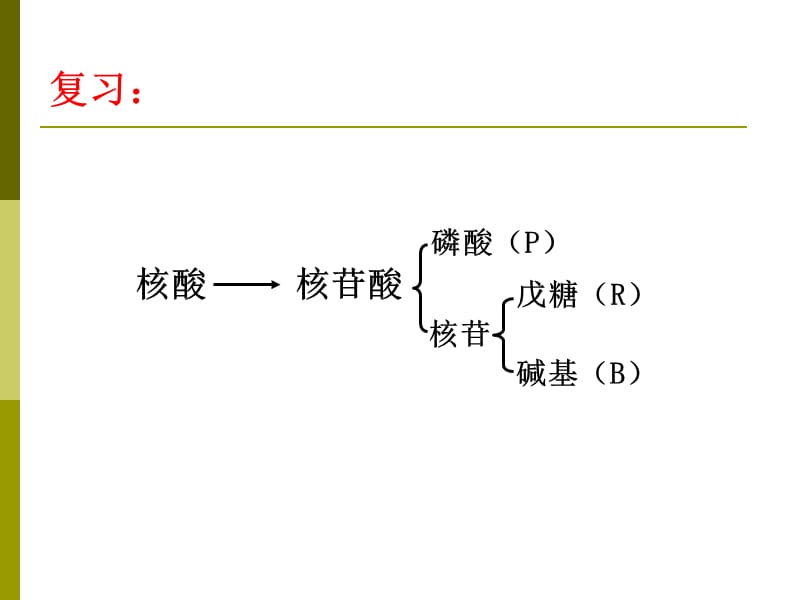 生物化学-核苷酸代谢PPT课件.ppt_第3页