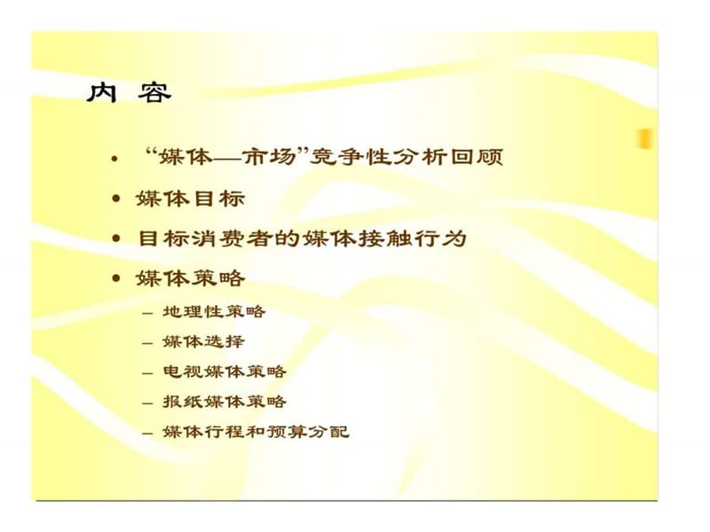 蓝月亮媒介策划建议书.ppt_第2页