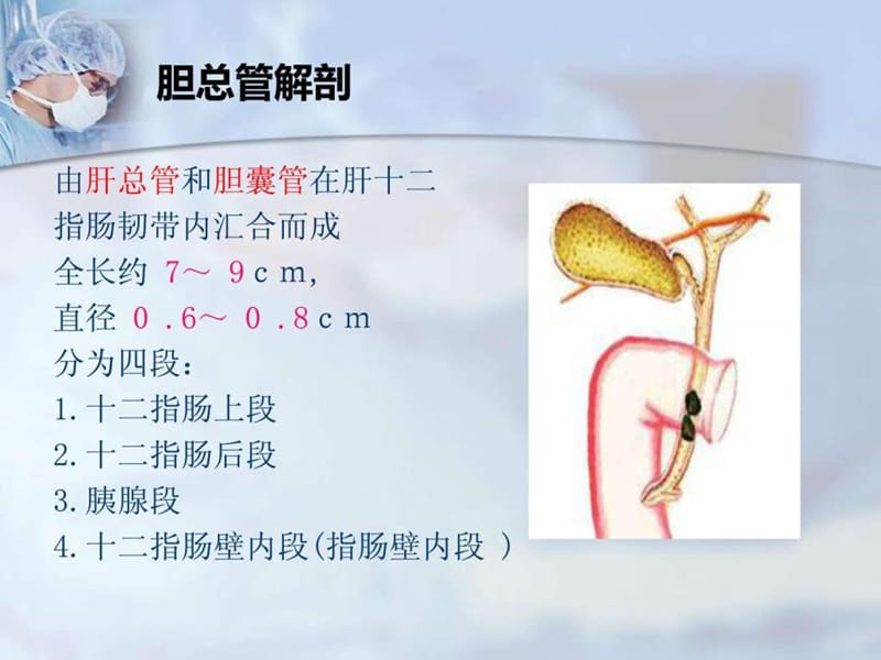 先天性胆总管囊肿患儿护理.ppt.ppt_第2页