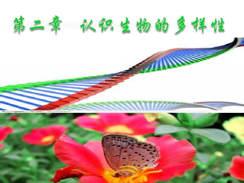 人教版生物八年级上册第二章《 认识生物的多样性》课件.ppt_第1页