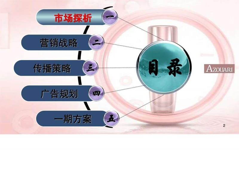 美容化妆网络整体营销及网络公关案例(来自千马广告)_免....ppt.ppt_第2页