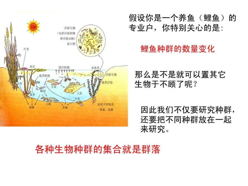 群落的结构_1494957066.ppt_第2页