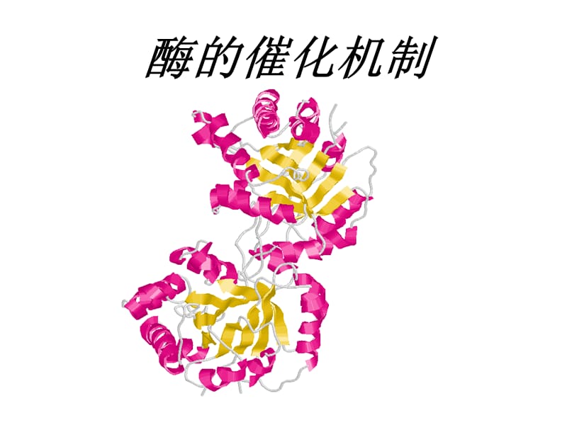 生物化学酶的催化机制PPT课件.ppt_第1页