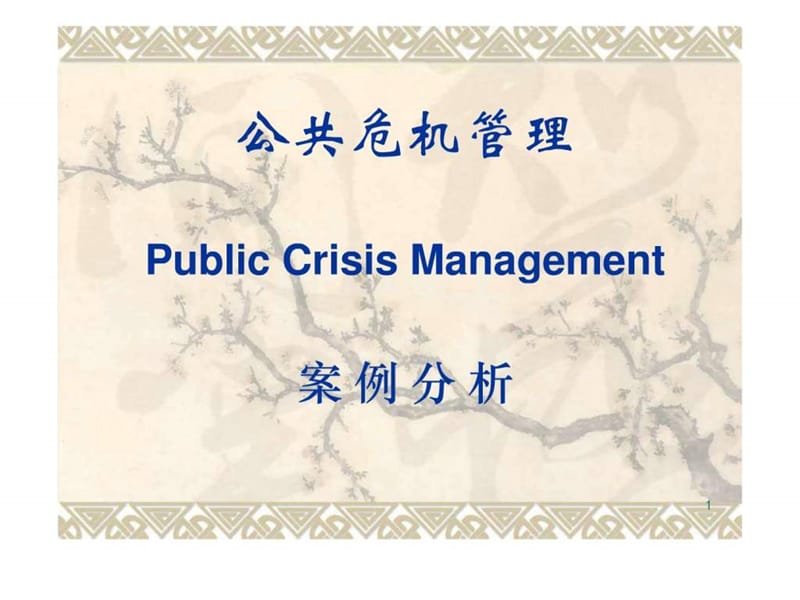 公共危机管理案例分析.ppt_第1页