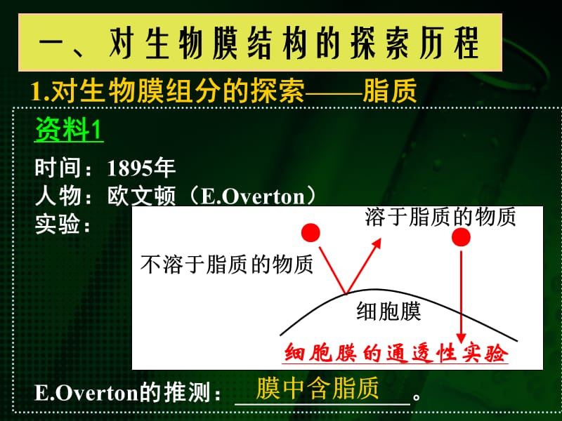 高一生物《生物膜的流动镶嵌模型》ppt课件.ppt_第3页