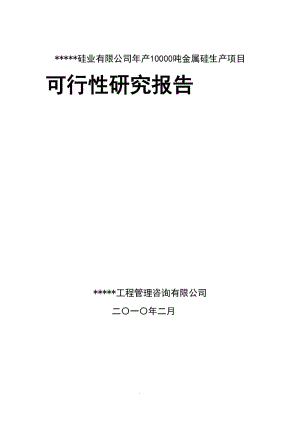 某硅业有限公司产10000吨金属硅生产项目可研.doc