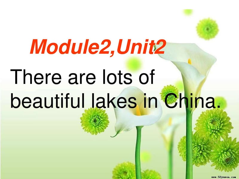 外研版小学六年级英语上册《Module 2 Unit 2 There are.ppt_第1页