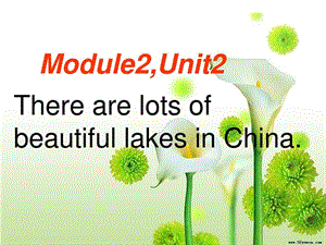 外研版小学六年级英语上册《Module 2 Unit 2 There are.ppt