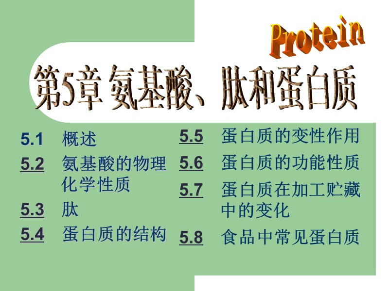 食品化学PPT讲义，适用中国农业大学出版社阚建全版本---05蛋白质5.ppt_第1页