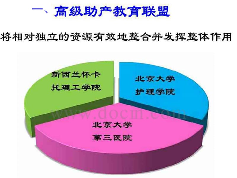 中国助产发展与高级助产教育联盟成立 助产教育联盟会议汇报.ppt_第3页