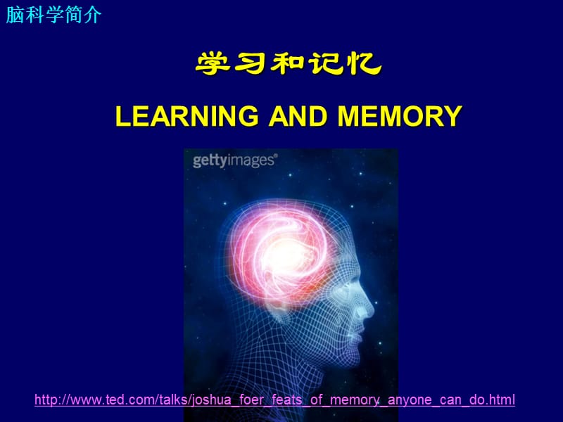 学习和记忆——脑科学简介ppt课件.ppt_第1页