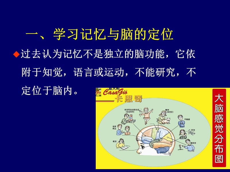 学习和记忆——脑科学简介ppt课件.ppt_第3页