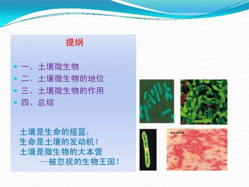 土壤微生物的地位和作用_图文.ppt.ppt_第2页