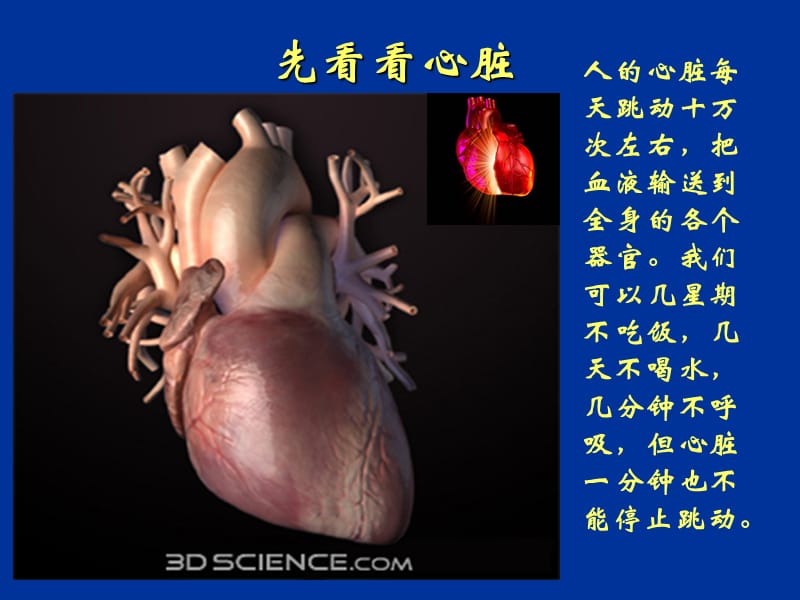 医学ppt--冠心病介入治疗新进展.ppt_第3页