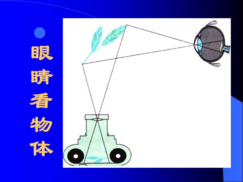 神奇的眼睛.ppt.ppt_第3页