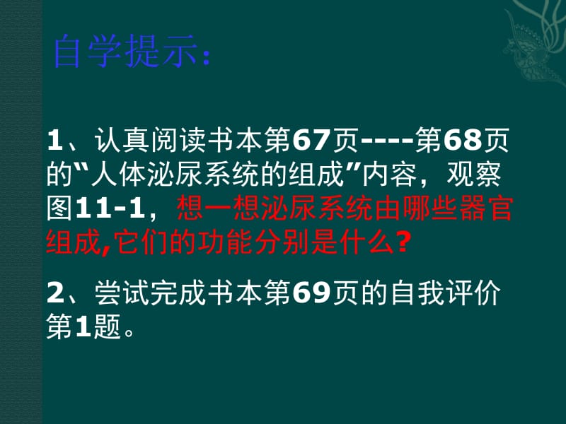 生物：11.1《人体泌尿系统的组成》课件（苏教版七下）.ppt_第3页