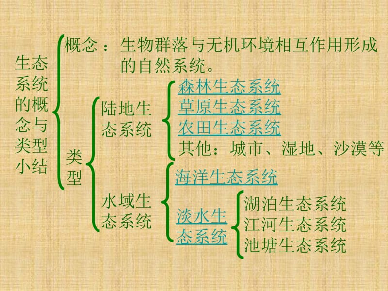 生态系统的结.ppt_第2页