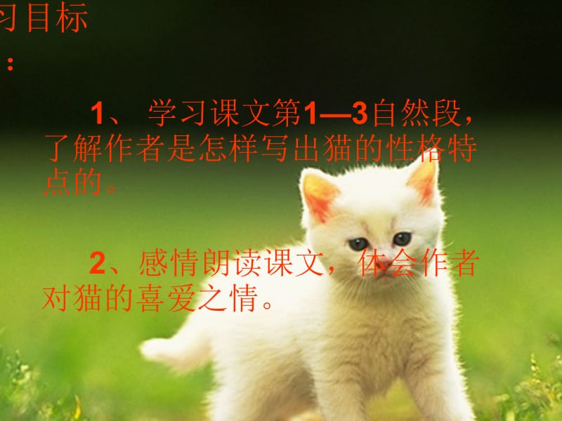 猫第二课时课件.ppt_第3页