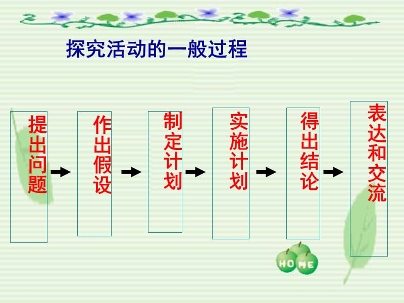 种子的萌发1.ppt_第3页