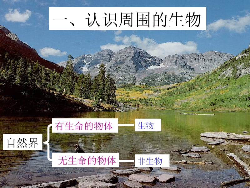 生物：1.1+《我们周围的生物》课件（苏教版七年级上）.ppt_第3页