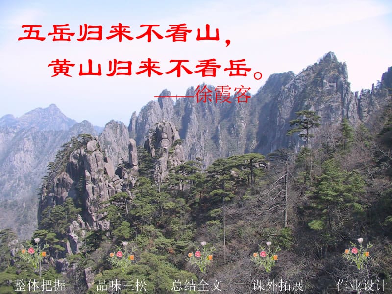 苏教版五年级（上）《黄山奇松》.ppt_第2页