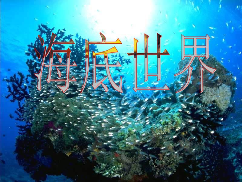 海底世界课件.ppt_第1页