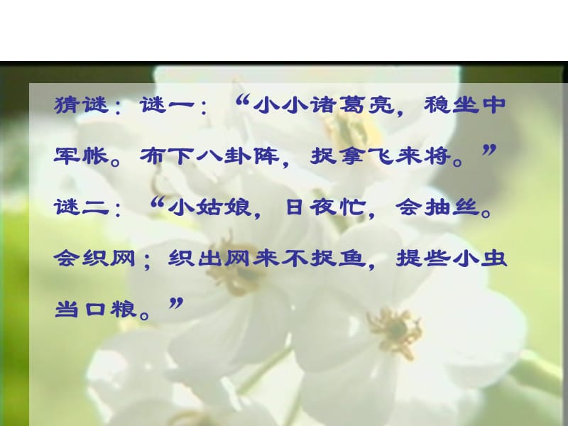 绿色蝈蝈课件.ppt_第1页