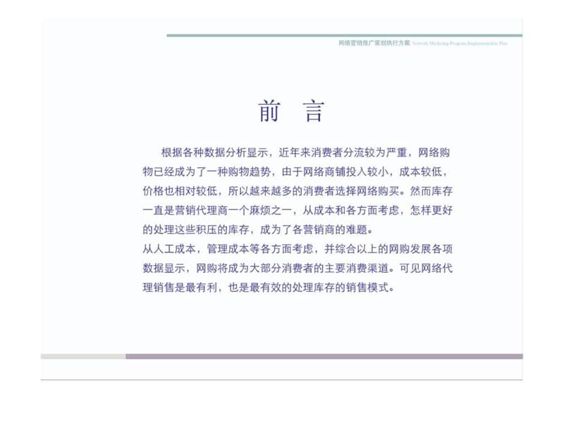 网络营销推广策划执行方案.ppt_第2页