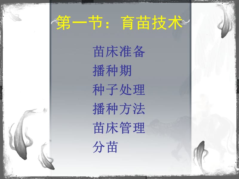 藏式辣椒栽培技术.ppt_第2页