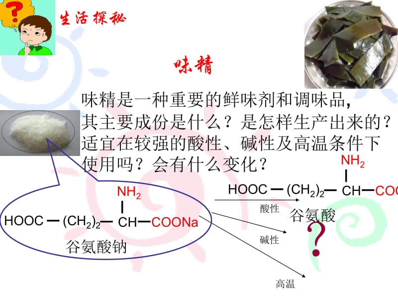 生命的基础—蛋白质(wy2015).ppt_第3页