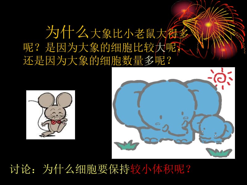 细胞通过分裂而增殖 (2).ppt_第3页