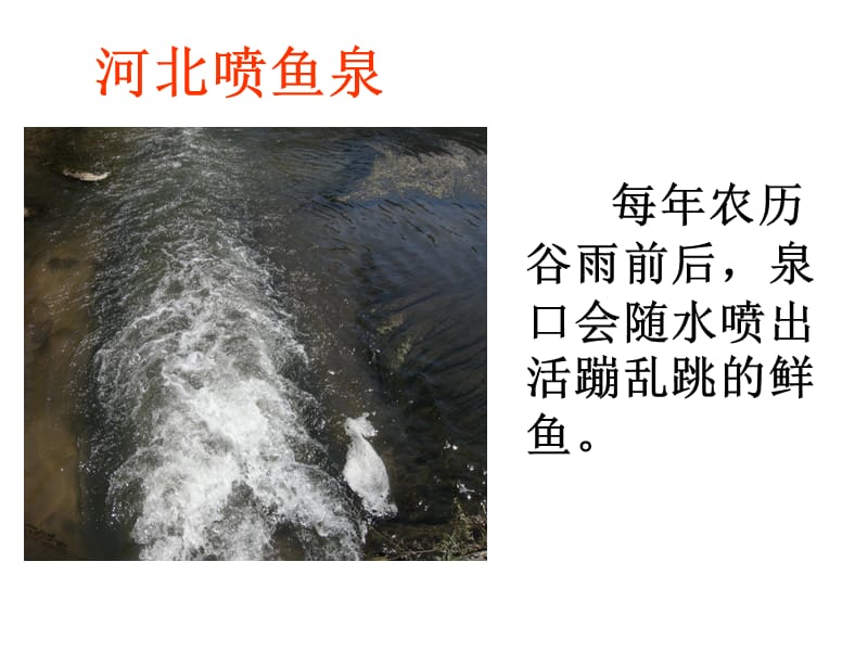 珍珠泉ppt (3).ppt_第3页