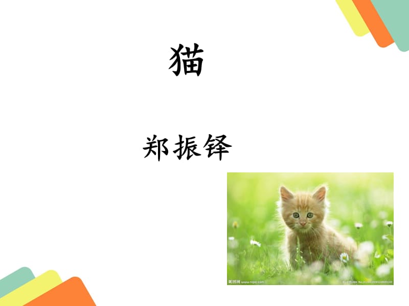 猫(郑振铎).ppt_第1页