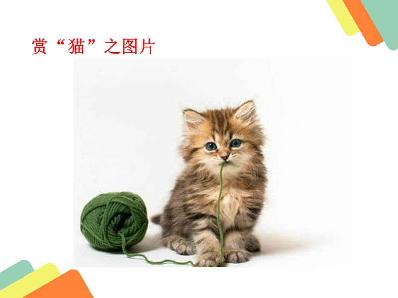 猫(郑振铎).ppt_第2页