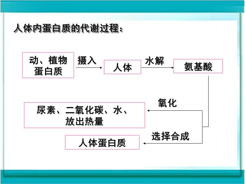 课题1　人类重要的营养物质3.ppt_第3页