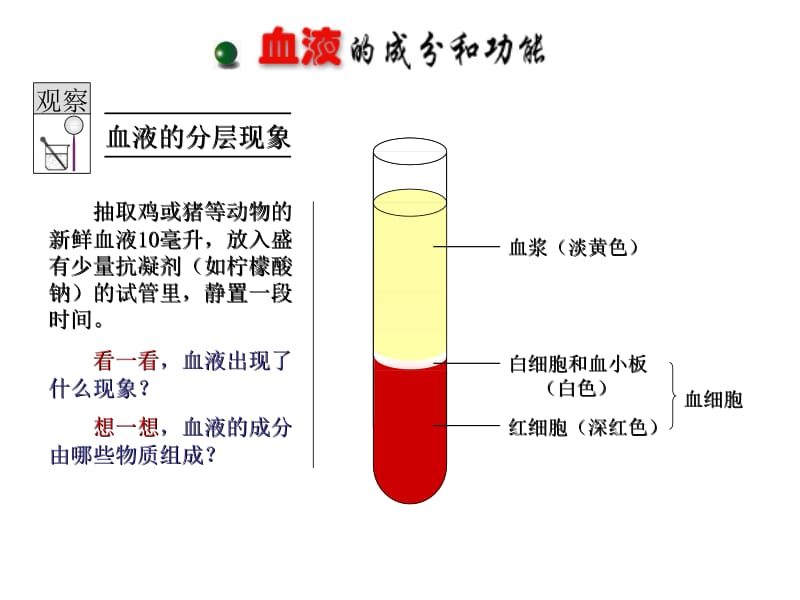 血液和血型课件修改.ppt_第3页