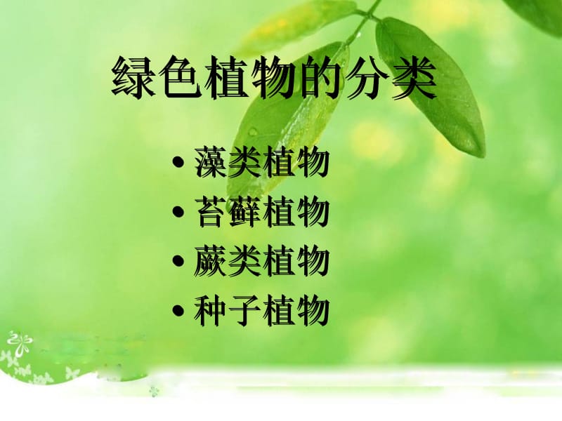 课件藻类苔藓和蕨类植物.ppt_第2页