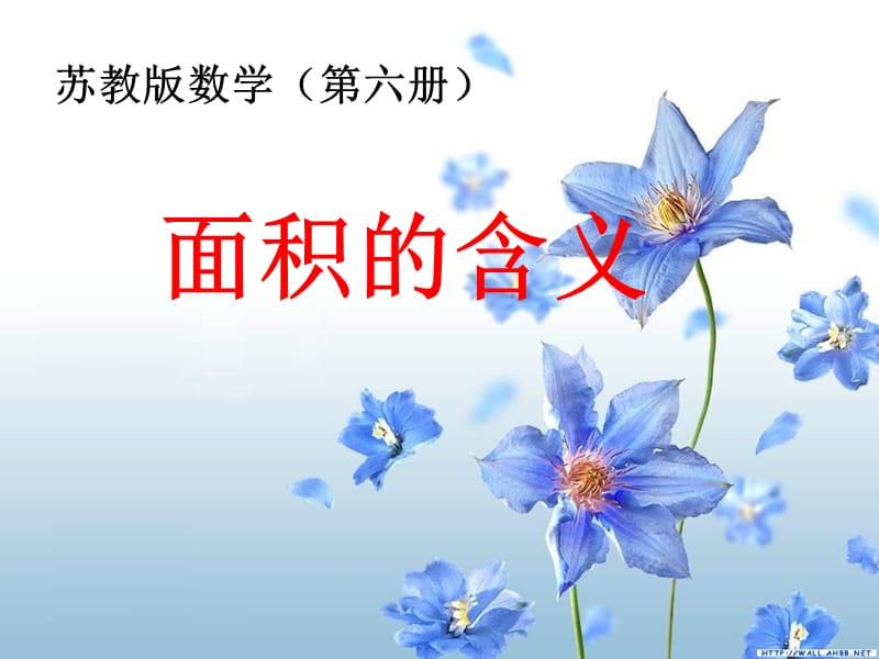 面积的含义》.ppt_第1页