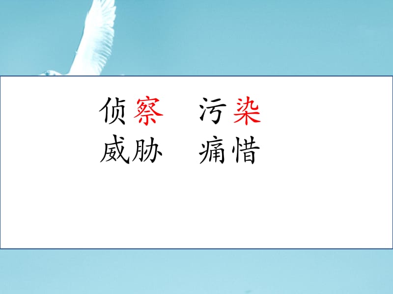 鸟儿的侦察报告.ppt_第2页