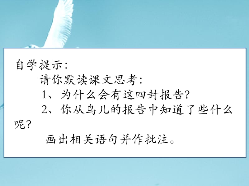 鸟儿的侦察报告.ppt_第3页