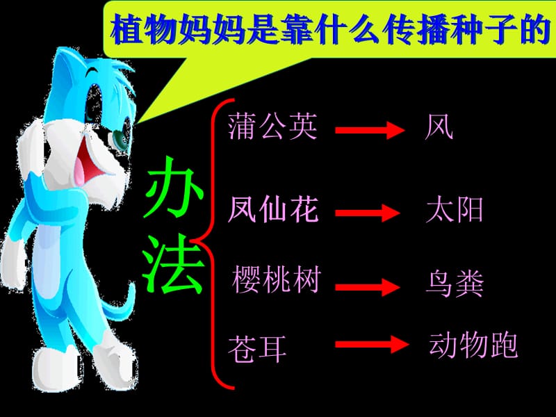 骑“白马”的苍耳.ppt_第3页